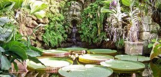Интересные места в Италии сады Ла Мортелла на острове Искья