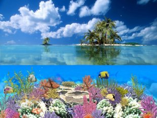 Коралловые острова