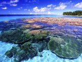 Коралловые Острова Примеры